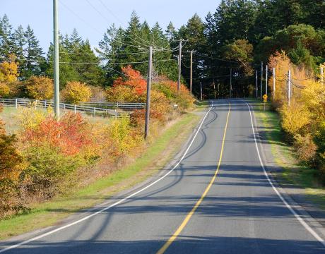 Road in Fall