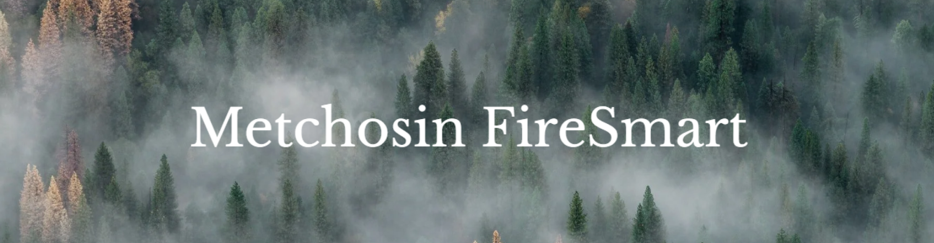 firesmart banner