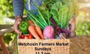 Basket of fresh produce