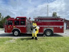 fire mascot
