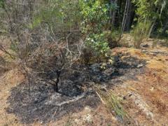fire 3